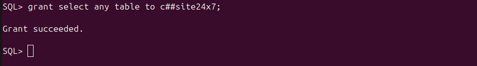 query monitoring prerequisites